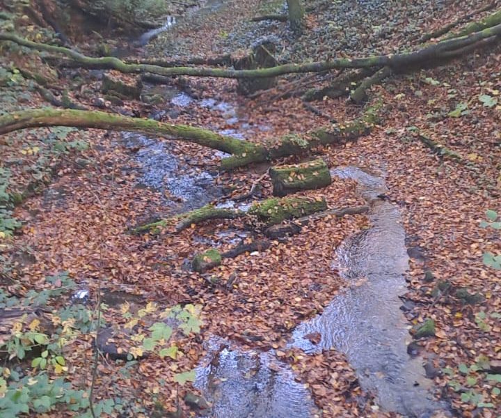 IMG-20241023-WA0014